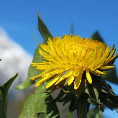 香港最准资料免费公开