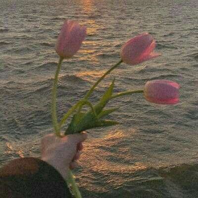 kdpay钱包下载安卓版